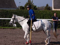 IMG_7214_web
